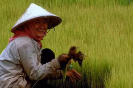 Cambodia suggested spending more on poverty reduction 