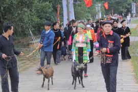 Ethnic groups celebrate New Year with various activities