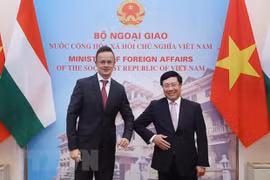 Deputy PM, FM highlights Vietnam-Hungary traditional friendship