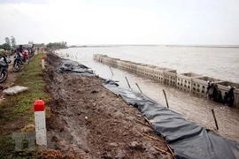 Ca Mau declares landslide emergency at western sea dykes 