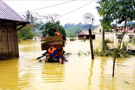 Binh Duong sends relief to disaster-hit victims in central region 