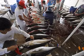 Philippines seeks World Bank’s loan to boost fisheries sector