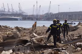 ASEAN Foreign Ministers issue statement on Lebanon explosion