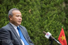 Vietnamese in Japan staying calm, supporting one another during pandemic: Ambassador