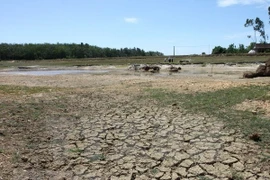 Natural disasters cost Ca Mau province over 43 million USD