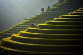 Mu Cang Chai among world’s 50 most beautiful places 