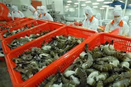 Shrimp exporters look forward to H2 comeback