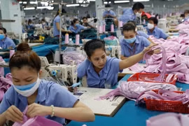  EVFTA to boost Vietnam’s economy: Japan’s newspaper