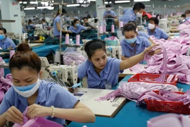  EVFTA to boost Vietnam’s economy: Japan’s newspaper