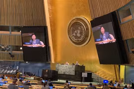 Vietnam introduces draft resolution on Int’l Day of Epidemic Preparedness
