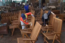 Vietnam aims for transparent and legal wood industry