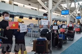 Over 310 Vietnamese citizens in RoK brought home