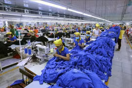 Czech expert lauds changes in Vietnam’s foreign investment attraction policy