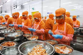 Trade surplus amounts to 10 billion USD by mid-August