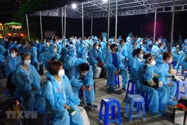About 950 Vietnamese citizens brought home on November 10, 11