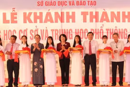 Vice President attends school inauguration ceremony in Vinh Long 