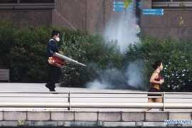 Dengue fever worsens in Singapore 
