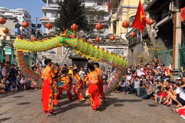 HCM City launches 3rd International Dragon Dance festival