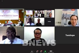 Vietnam, Nigeria hold B2B Networking Webinar on Fashion Products