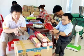 Da Nang AO/Dioxin victim association plans 10 bln VND in fundraising
