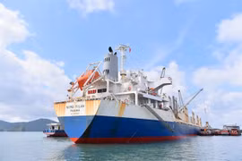 Vietnam receives first coal batch imported from the US