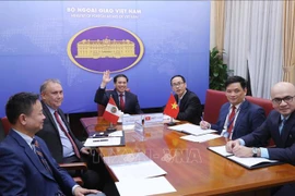 Vietnam, Peru hold fourth deputy foreign ministerial-level political consultation