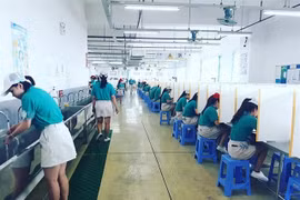 HCM City prepares to foster economic recovery