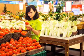 Vinh Phuc: eight-month Consumer Price Index growth at five-year high 
