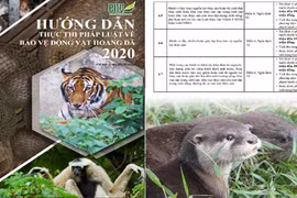 Organisation re-releases key wildlife-related law enforcement guidance