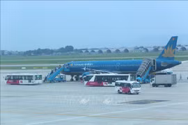 Vietnam Airlines brings 12 Vietnamese stranded in Japan home