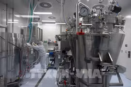 Russian firms urged to set up pharmaceutical ventures in Vietnam: meeting