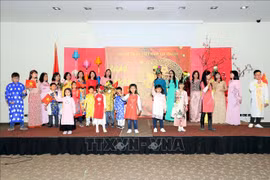 Vietnamese embassies celebrate Lunar New Year festival 