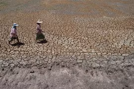 Thailand faces severe drought, rising unemployment