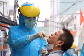 COVID-19: 13 patients in critical condition