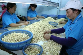 Ministry seeks ways to increase imports from US