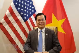 Vietnam, US forge comprehensive partnership 