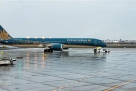 310 Vietnamese citizens flown home from Germany