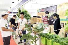 Agro-forestry-fishery farming and processing technology expo opens