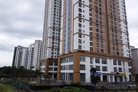 HCM City vows to remove hurdles faced by property developers 
