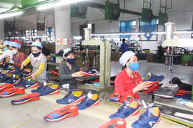 Vinh Phuc assists enterprises in optimising EVFTA opportunities 