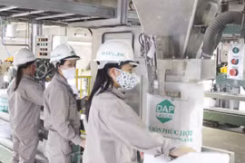 Outstanding loans of 12 inefficient projects amount to nearly 21 trillion VND