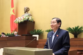 HCM City’s urban administration model discussed at NA’s 10th sitting 