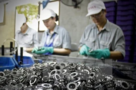 Vietnam works to boost international integration of part suppliers