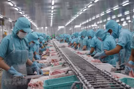 Seafood exports increase after EVFTA comes into effect