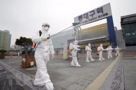 Vietnamese citizen infected with SARS-CoV-2 virus in RoK 