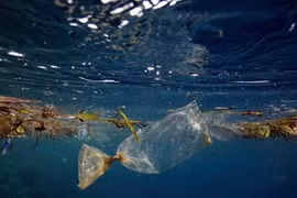 Campaign to make the world cleaner launched in Vietnam