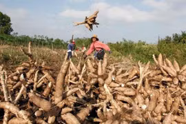 ADB approves loans worth 70 million USD for Cambodia’s agriculture
