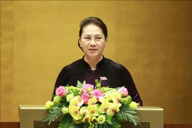 National Assembly strives to implement institutional reform