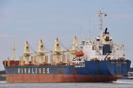 Vinalines builds scenarios to cope with market difficulties 