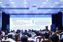 Ca Mau conference seeks way to optimise EVFTA, EVIPA